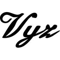 VIJZ: Waar creativiteit en structuur elkaar versterken logo