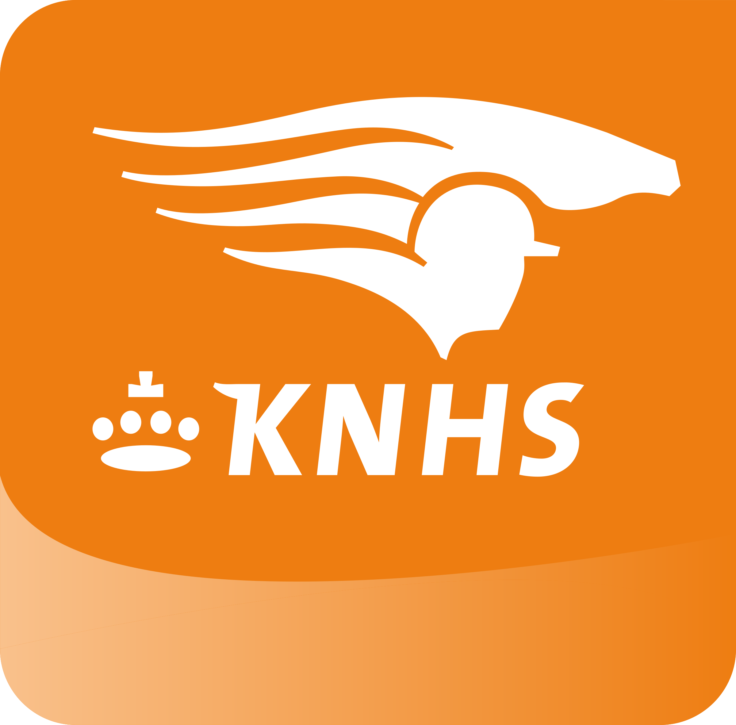 More overview and collaboration at KNHS thanks to vPlan! 🐴 logo